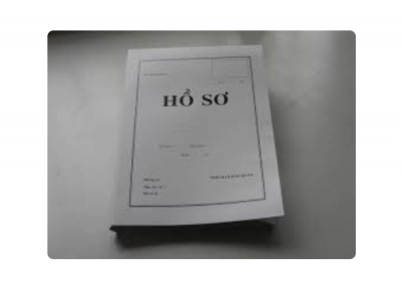 HỒ SƠ CÔNG VIỆC DUPLEX ĐL 300 (CÁI)